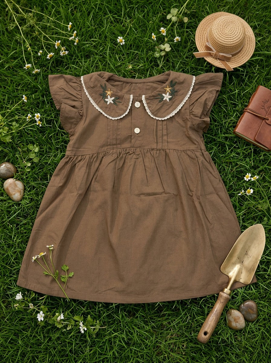 Girls Embroidered Peter Pan Collar Flutter Sleeve Dress