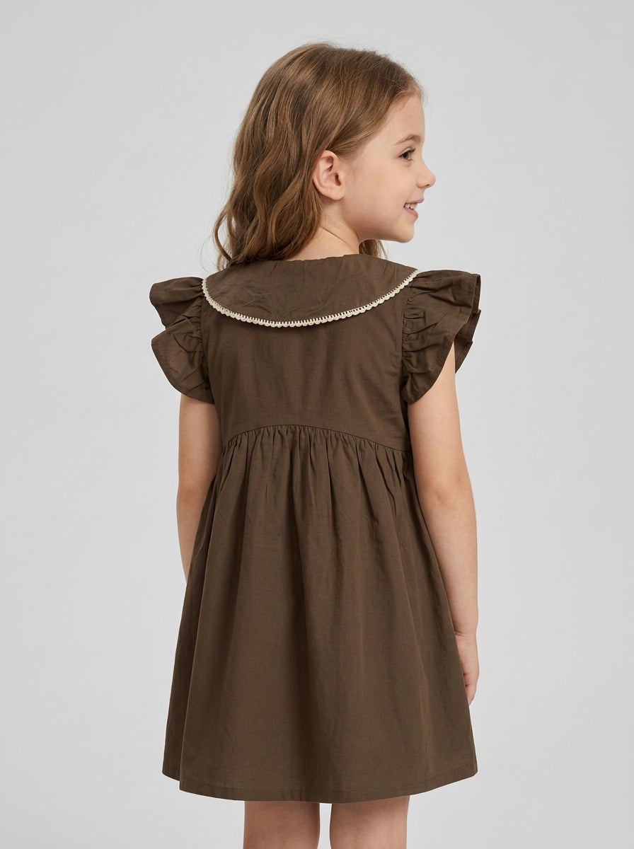Girls Embroidered Peter Pan Collar Flutter Sleeve Dress