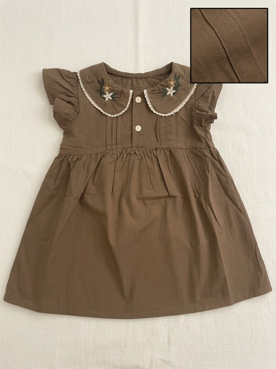 Girls Embroidered Peter Pan Collar Flutter Sleeve Dress